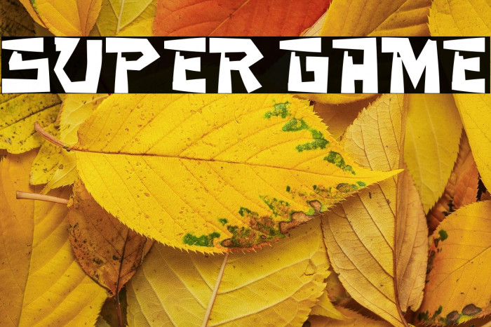 SUPER GAME Example 3