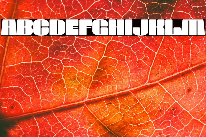 SUPER RING Example 3