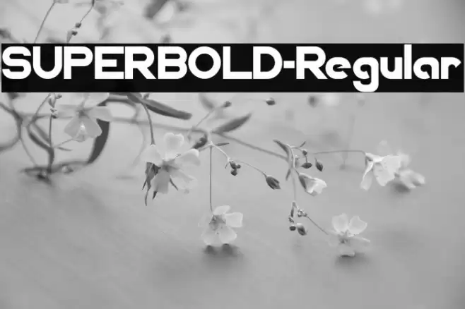 SUPERBOLD-Regular Font examples