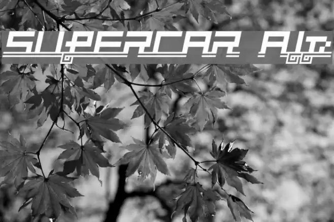 SUPERCAR Alp Font examples