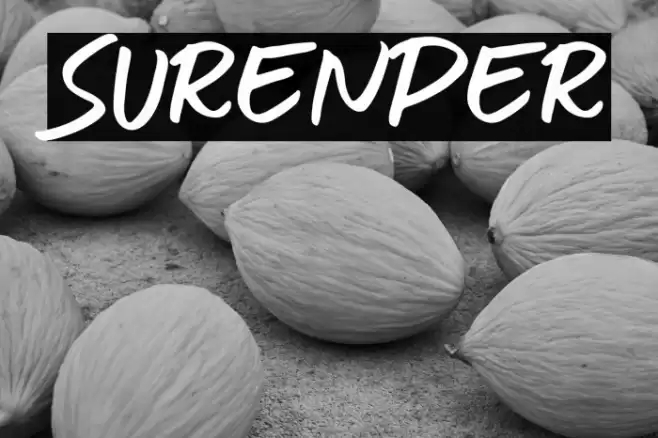 SURENDER Font examples