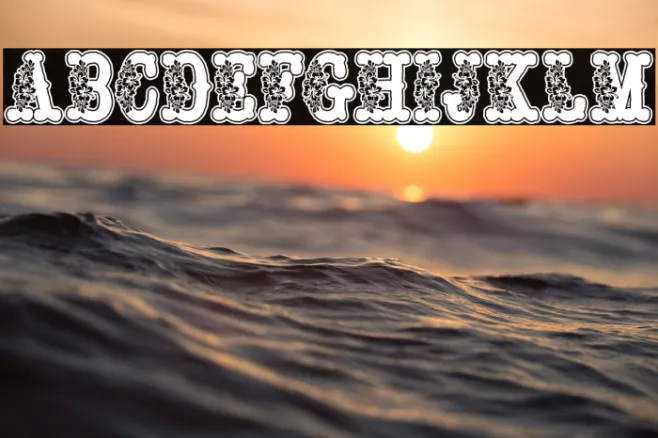 SURFSCHOOL PERSONAL USE Regular Example 2