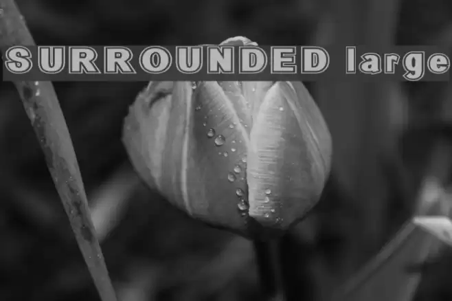 SURROUNDED large Schriftart examples
