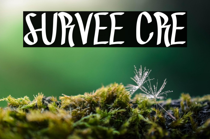 SURVEE CRE Example 1