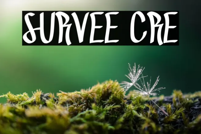 SURVEE CRE Example 1