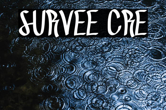 SURVEE CRE Example 2