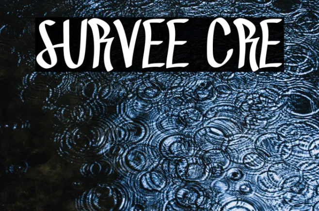 SURVEE CRE Example 2