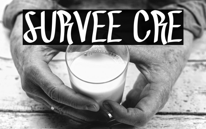 SURVEE CRE Example 3