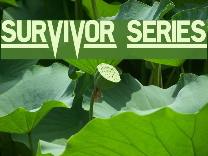 SURVIVOR SERIES Font examples