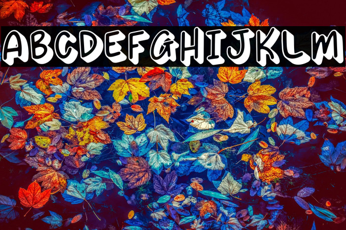 SUSHI SHIRO Example 1