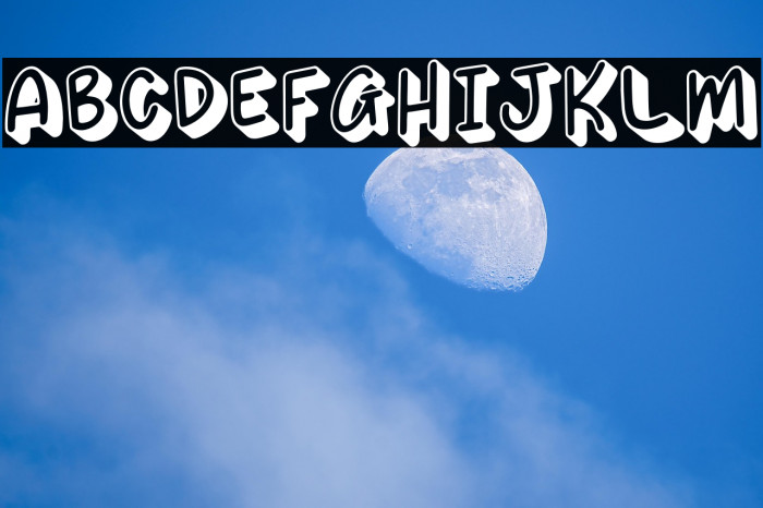 SUSHI SHIRO Example 3