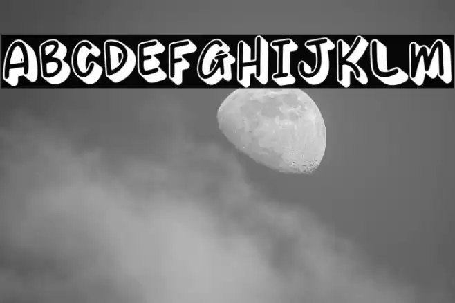 SUSHI SHIRO Polices examples