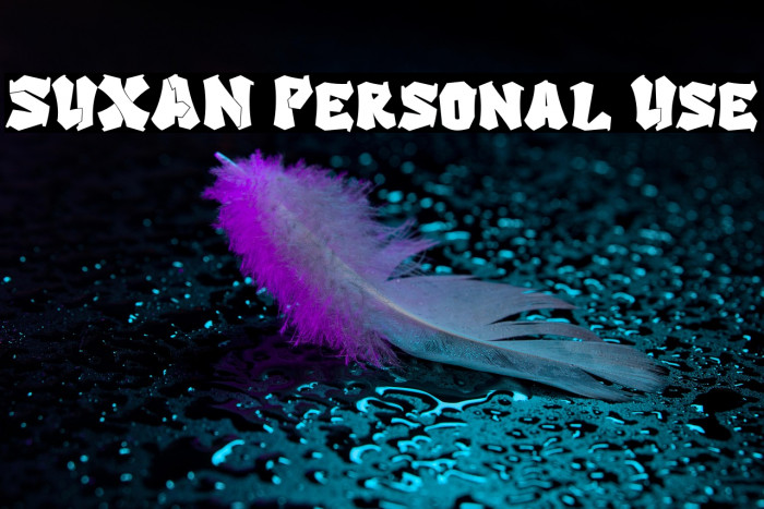 SUXAN Personal Use Example 2