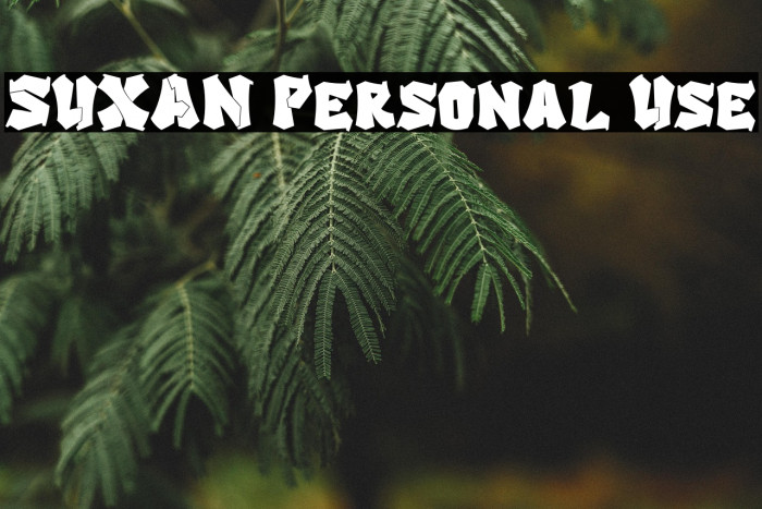 SUXAN Personal Use Example 3