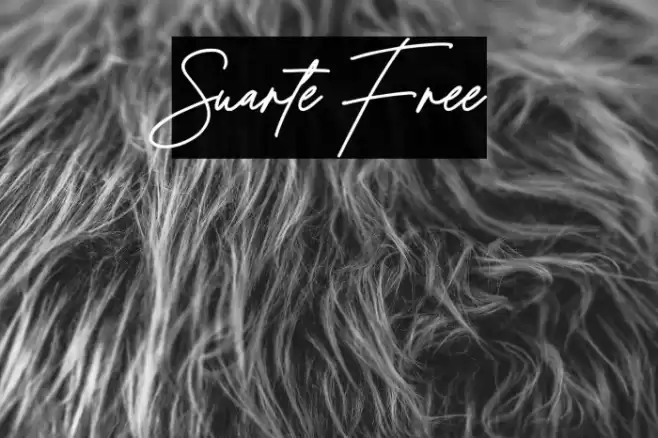 Suarte Free Font examples