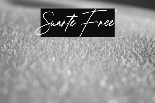Suarte Free Font examples