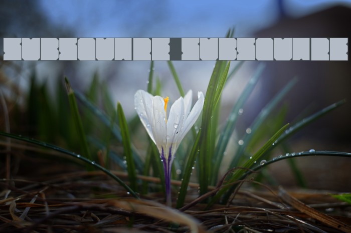 SubSquare SubSquare Font examples