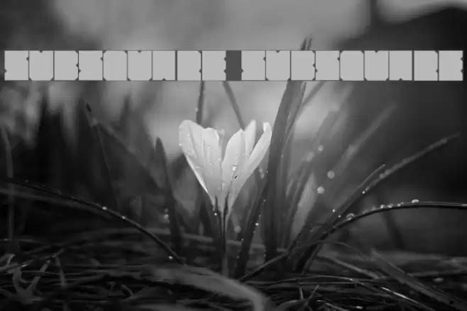 SubSquare SubSquare フォント examples