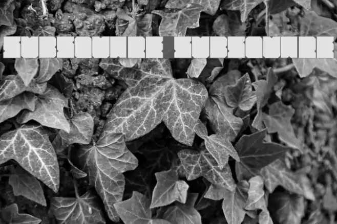 SubSquare SubSquare フォント examples