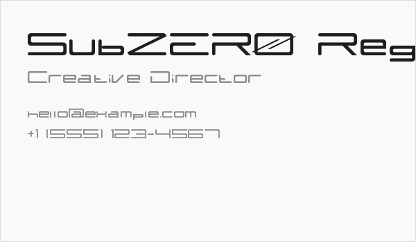 SubZER0 Regular Business Card