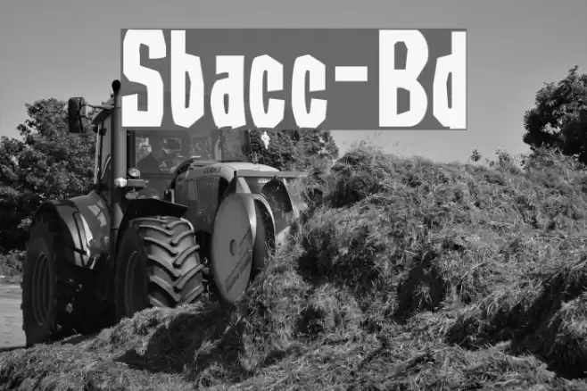 Subaccuz-Bold Шрифта examples