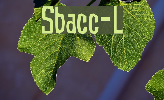 Subaccuz-Light Font examples