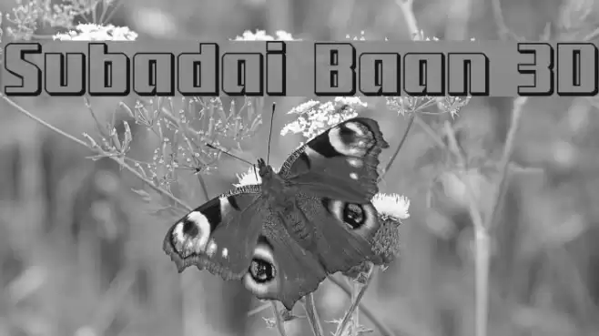 Subadai Baan 3D Font examples