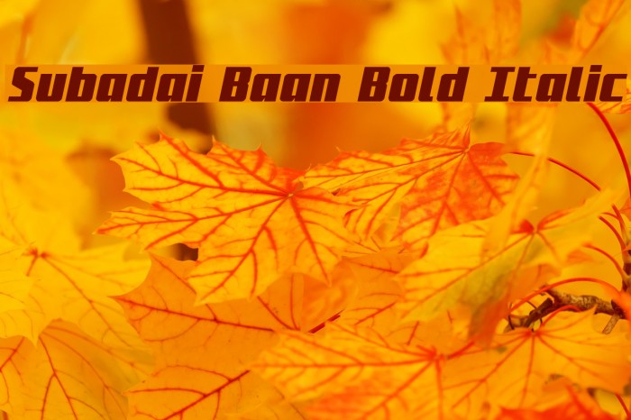 Subadai Baan Bold Italic Font examples