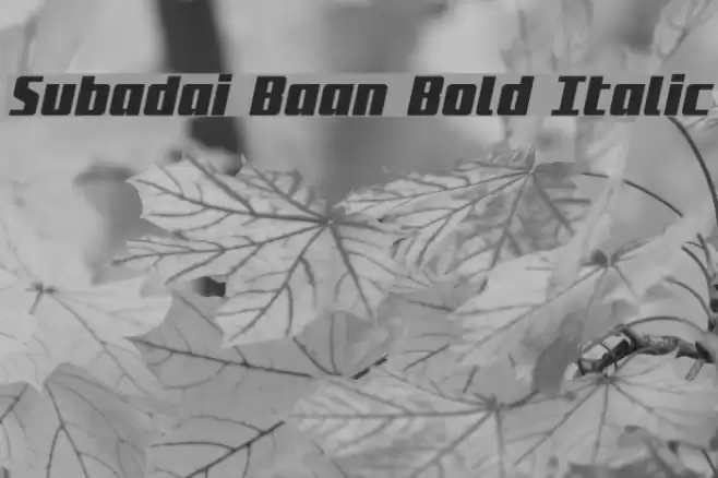 Subadai Baan Bold Italic Font examples