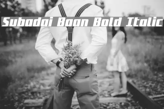 Subadai Baan Bold Italic Font examples