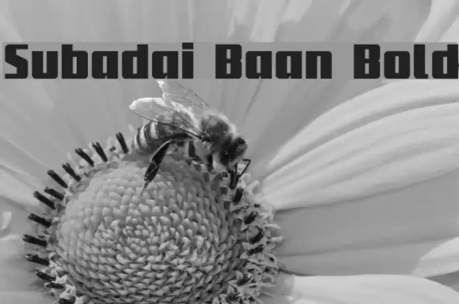 Subadai Baan Bold Font examples