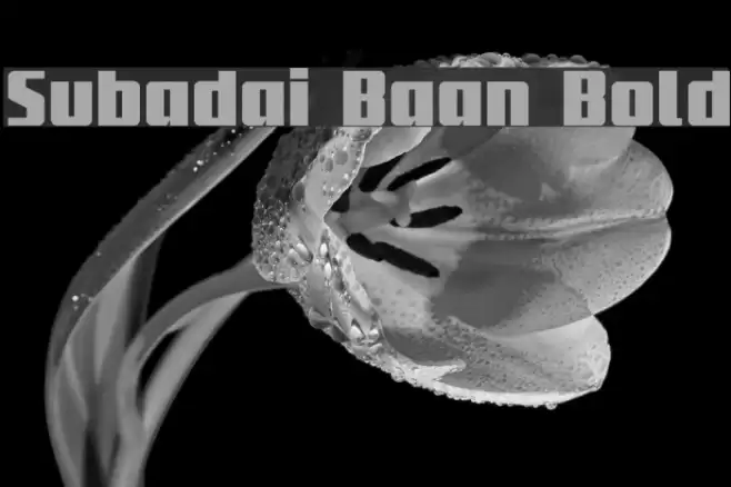 Subadai Baan Bold Font examples