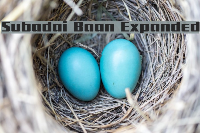 Subadai Baan Expanded Font examples