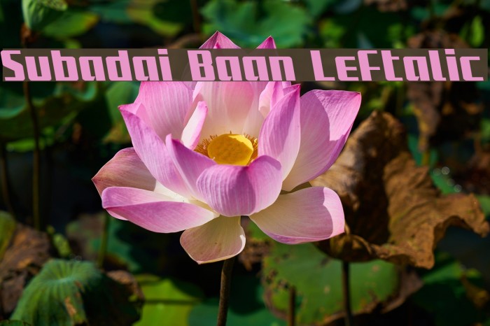 Subadai Baan Leftalic Example 2