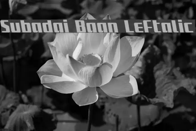 Subadai Baan Leftalic Font examples