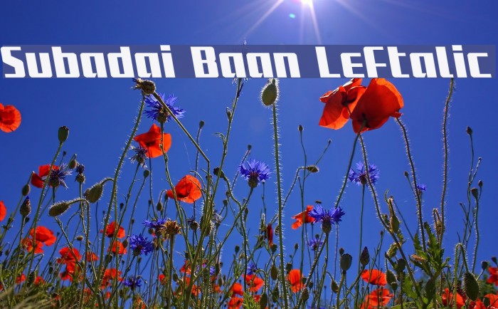 Subadai Baan Leftalic Example 3