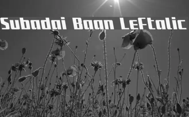 Subadai Baan Leftalic Font examples