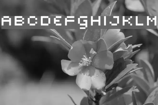 Subatomic Screen Schriftart examples