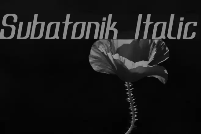 Subatonik Italic Font examples
