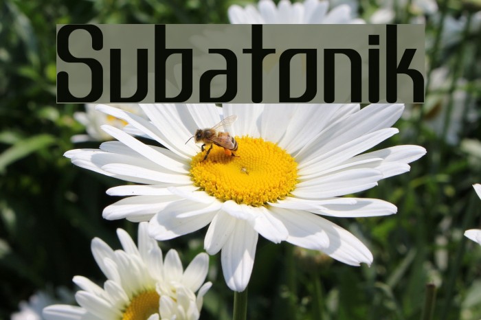Subatonik Font examples