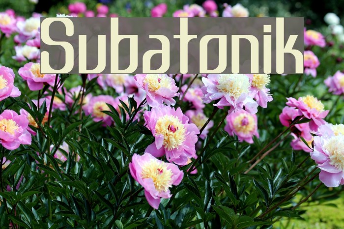 Subatonik Font examples