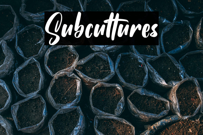 Subcultures Example 1