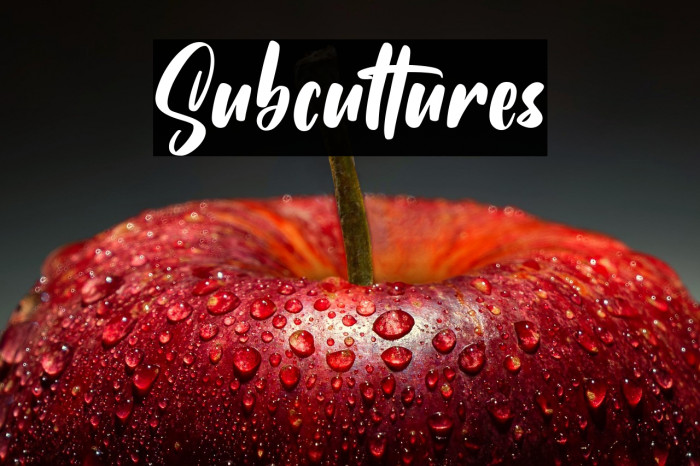 Subcultures Example 2