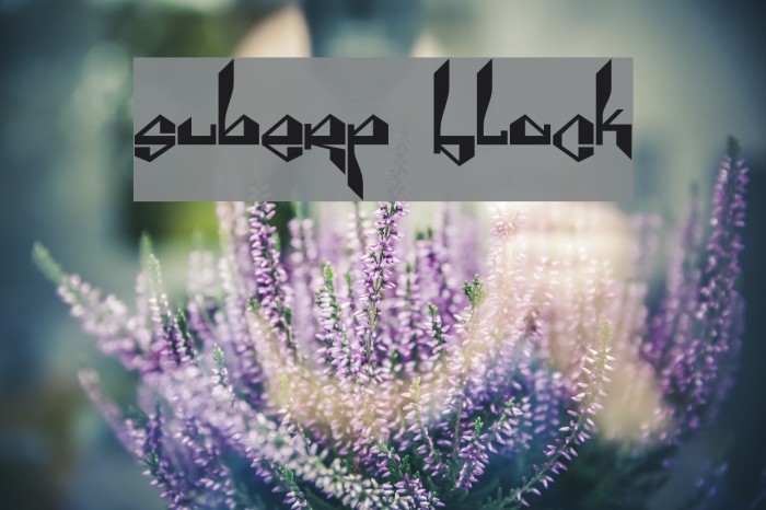 Suberp Black Example 2