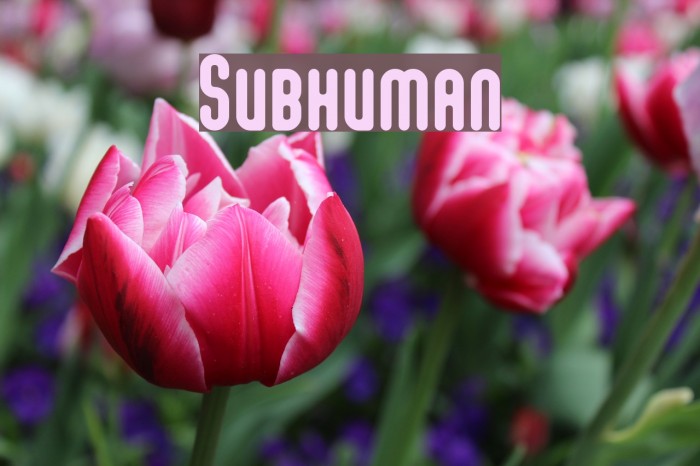 Subhuman Font examples