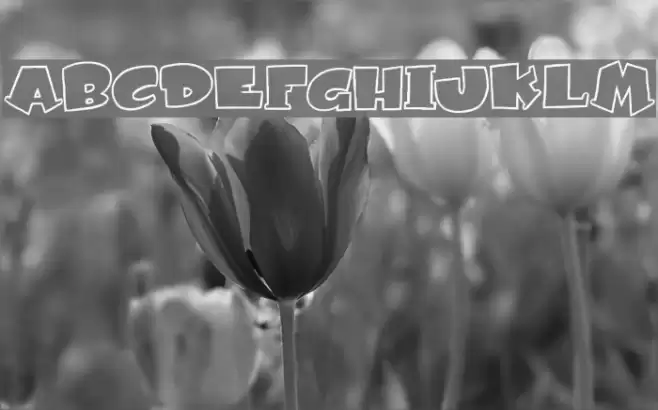 Subito Font examples