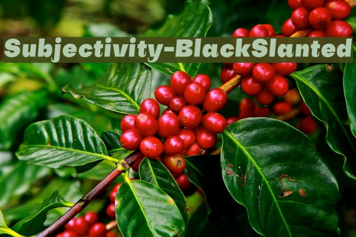 Subjectivity-BlackSlanted Font examples