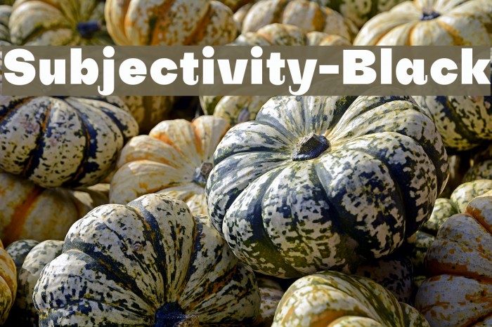 Subjectivity-Black Schriftart examples