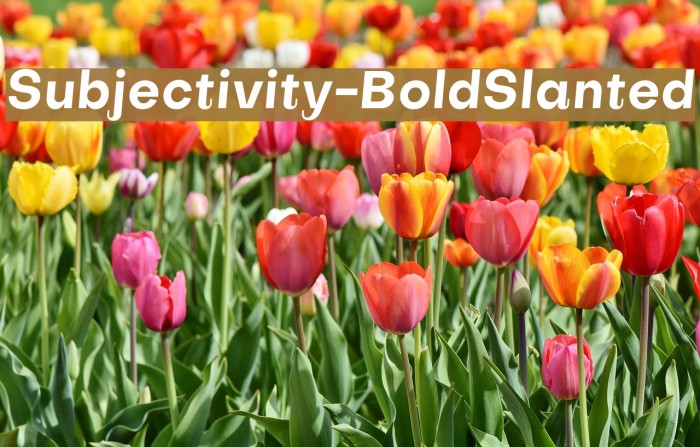 Subjectivity-BoldSlanted Font examples