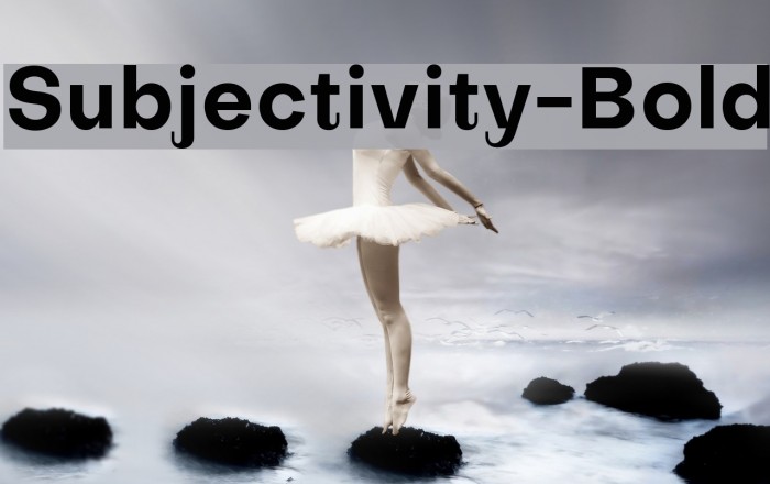 Subjectivity-Bold Schriftart examples